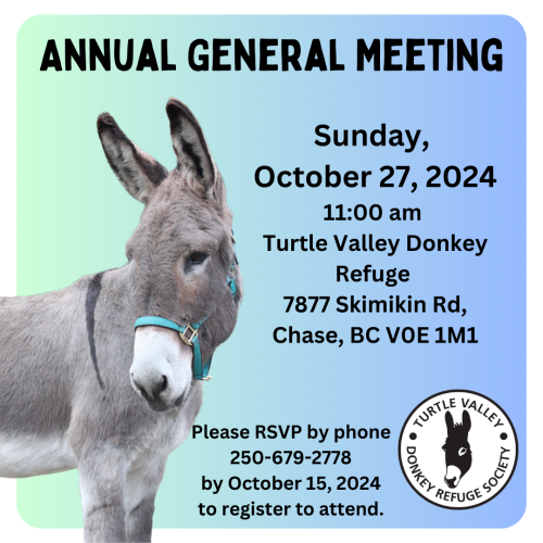 Annual General Meeting