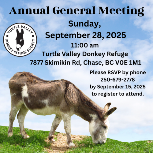 Annual General Meeting