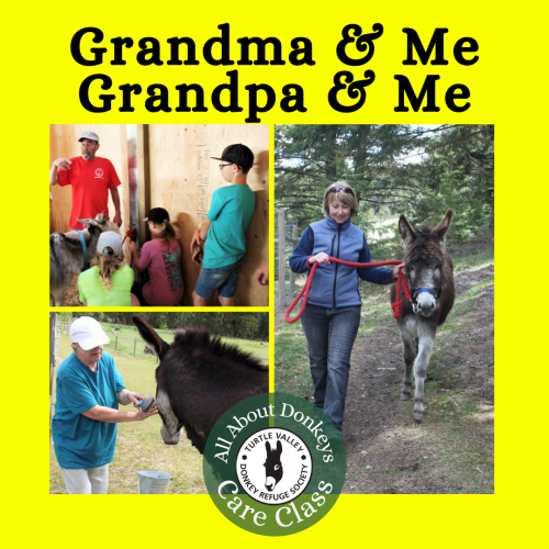 Grandma & Me/Grandpa & Me - All About Donkeys Program (55+ adults only; kids 8-16)