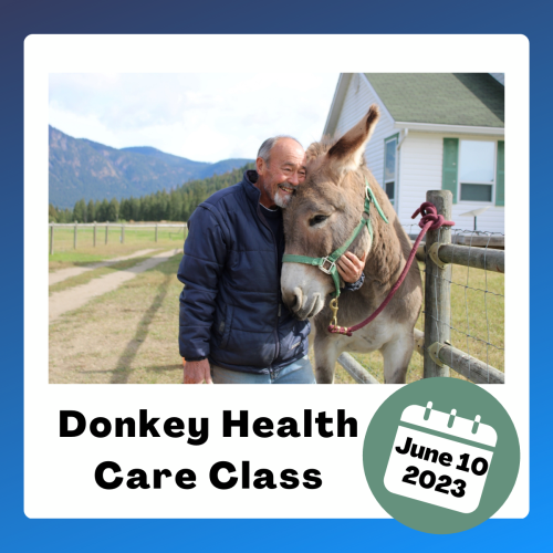 Donkey Health Care Class