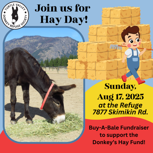 Hay Day!