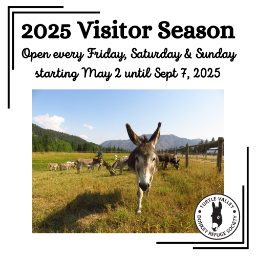 Visitor Season 2025 - May to September