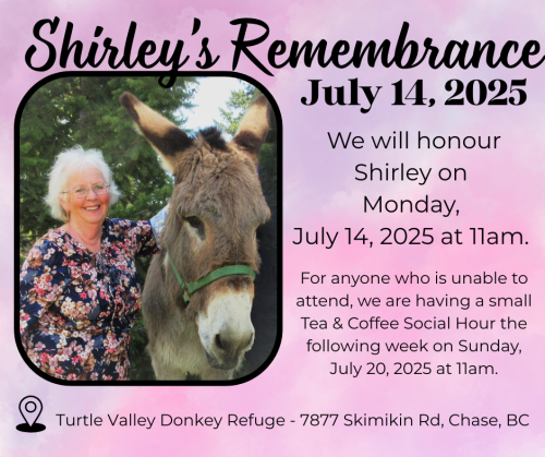 Shirley's Remembrance